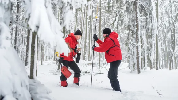Två personer med en lavinsond i snöklädd skog